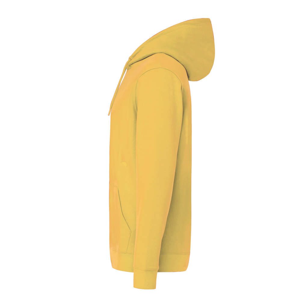 Sweat à capuche en coton recyclé IQONIQ Jasper