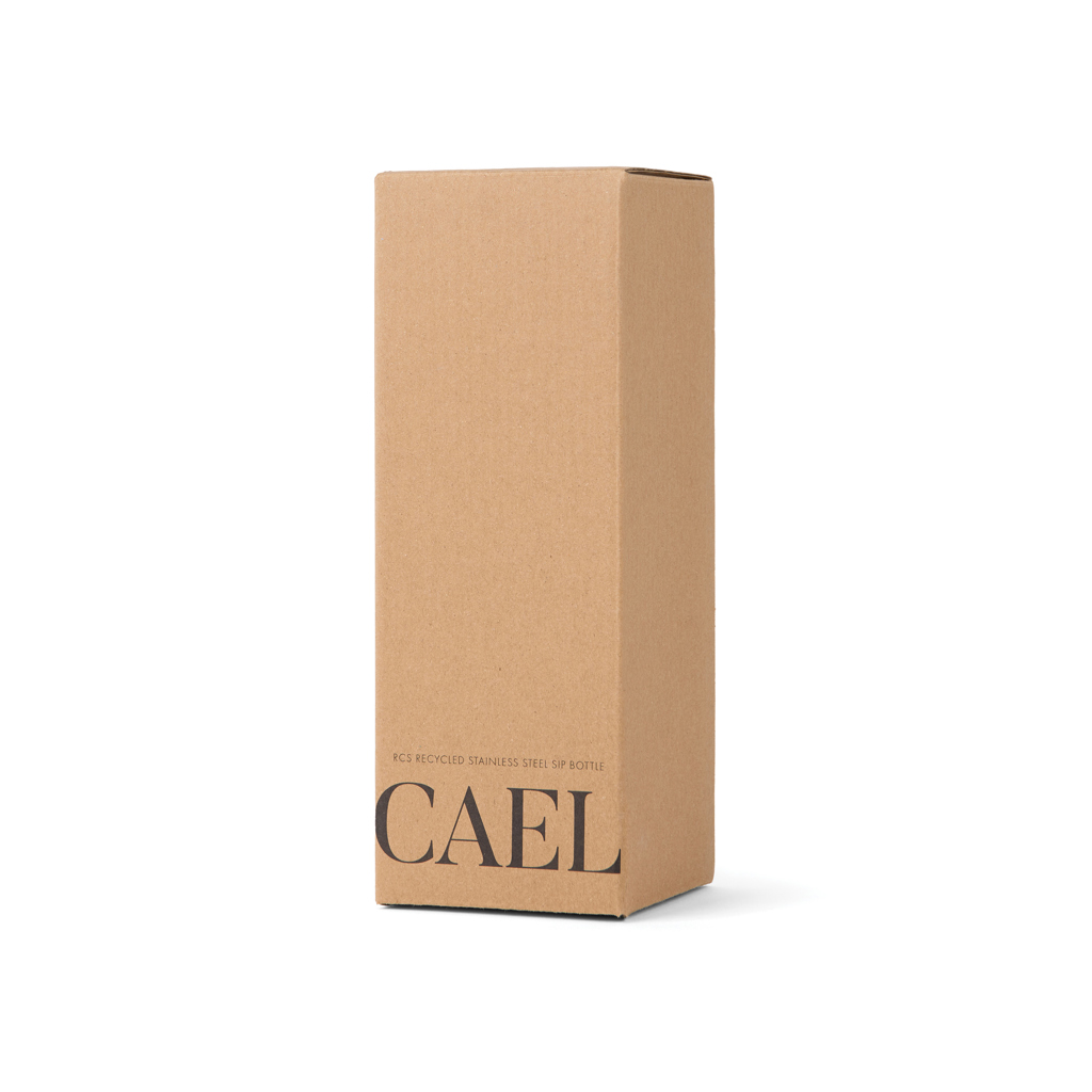 Botella VINGA Cael RCS SS 600 ml