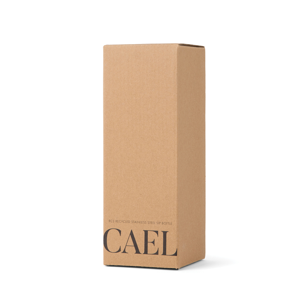 Botella VINGA Cael RCS SS 600 ml