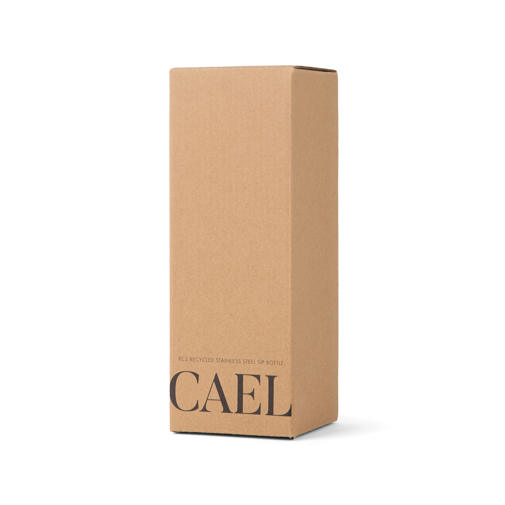 Botella VINGA Cael RCS SS 600 ml