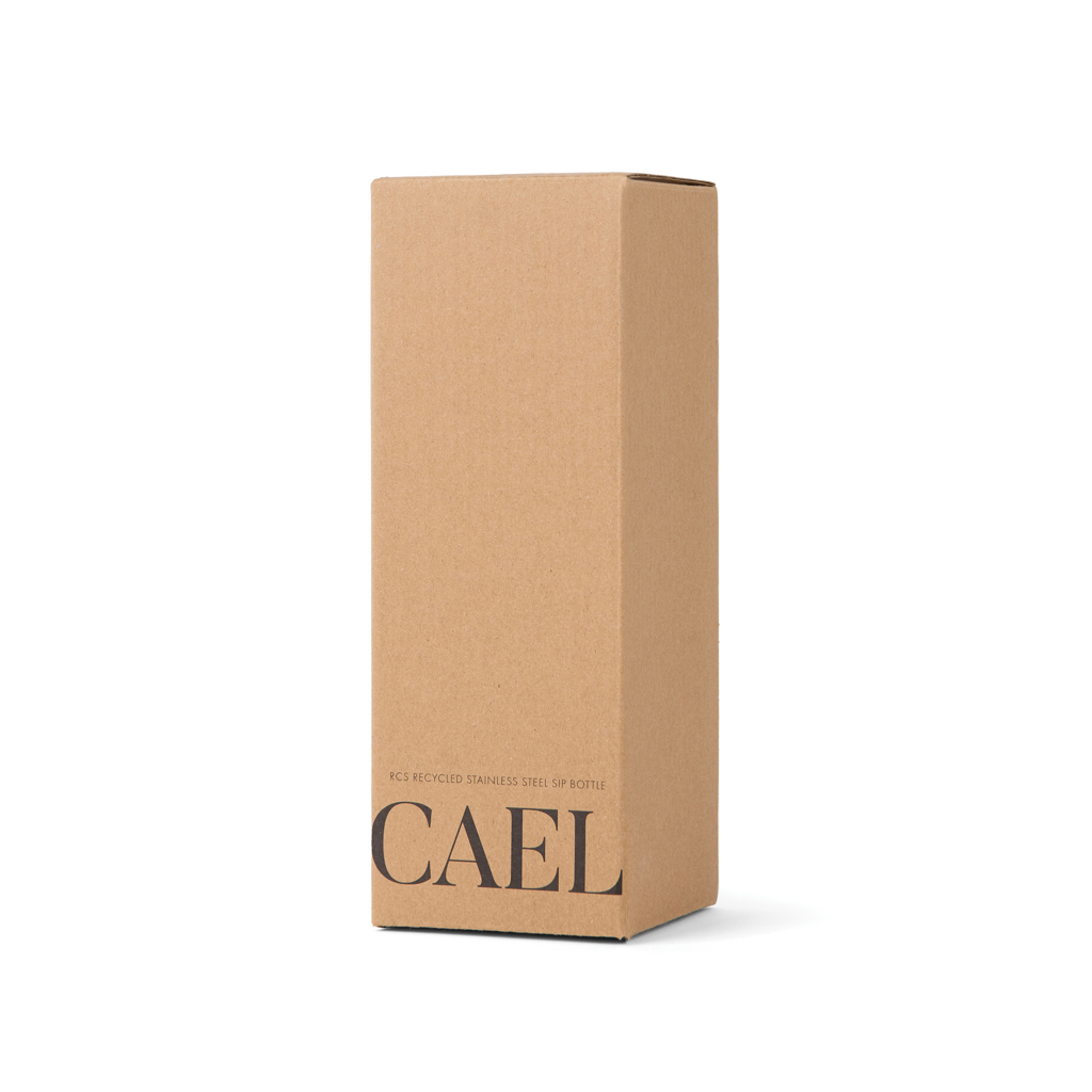 Botella VINGA Cael RCS SS 600 ml